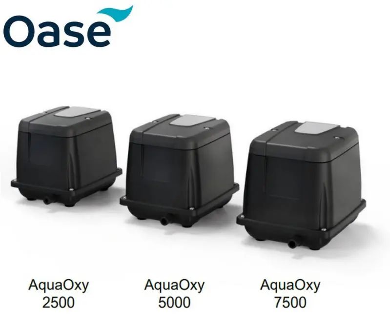 Aquaoxy 2.webp
