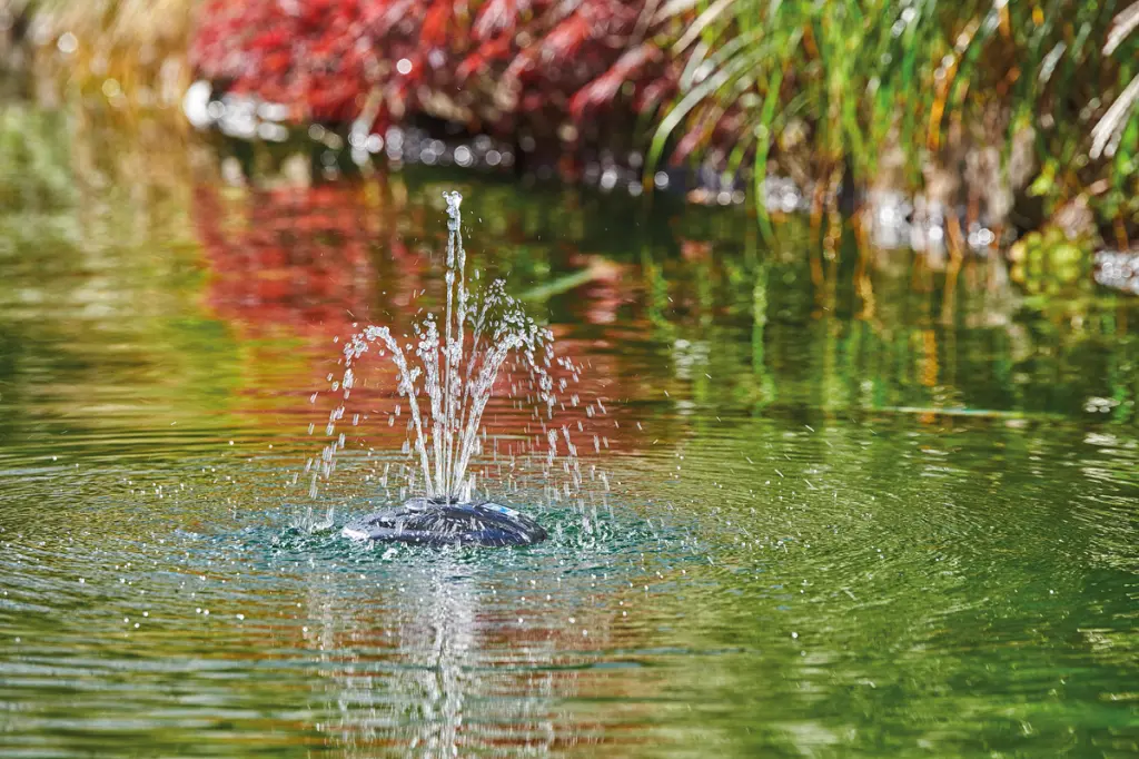 icefree 4 saisons.webp