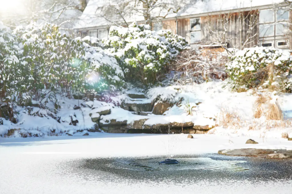 icefree 4 saisons 2.webp