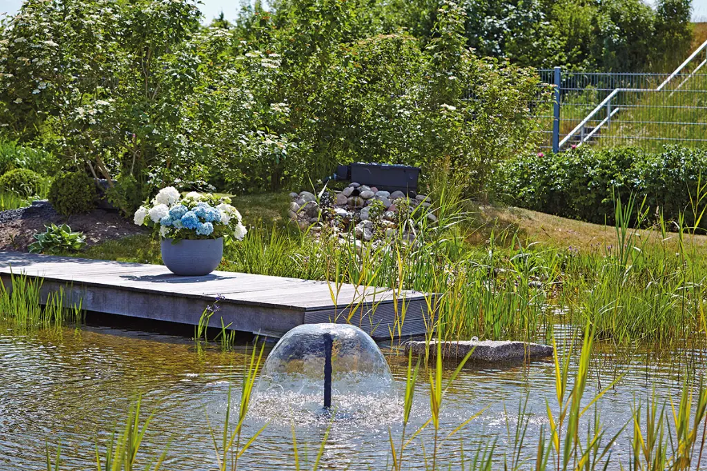 Aquarius Fountain - Set eco 4.webp